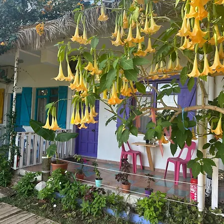 Gaya Cirali Homestay szállás Kemer