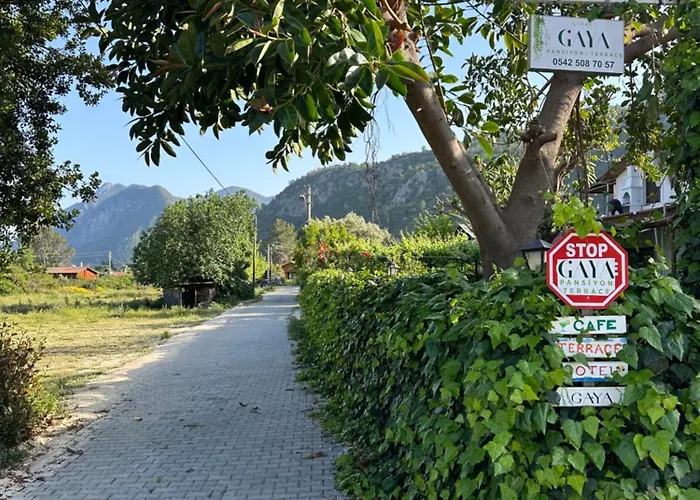 Gaya Cirali
