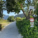 Gaya Pansıyon çirali