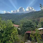 Gaya Pansıyon çirali *