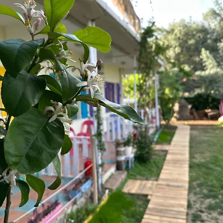 Δωμάτια σε οικογενειακή κατοικία Gaya Cirali *