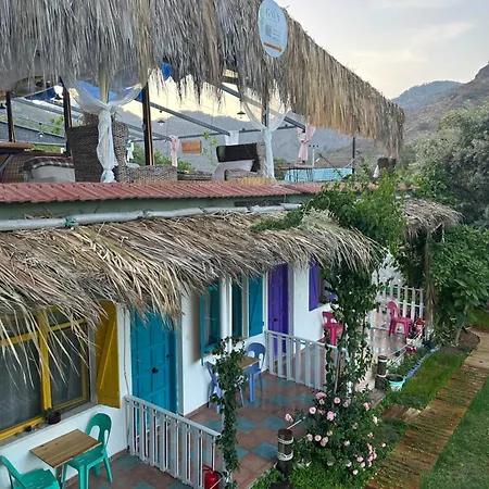 Gaya Cirali * كمر