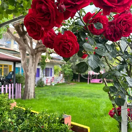 Gaya Cirali Privat bolig *