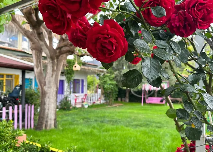 Gaya Cirali منزل للإقامة *