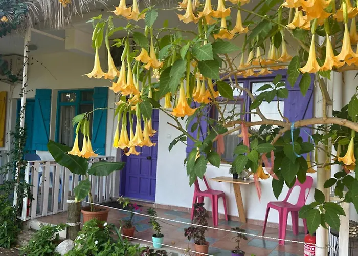 Gaya Cirali Rum i privatbostad Kemer