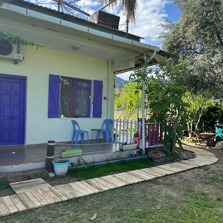 Gaya Pansıyon çirali