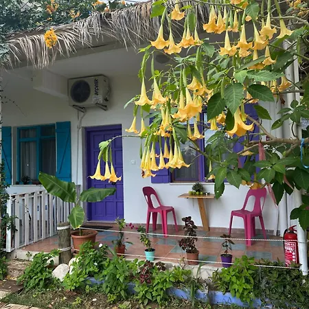 Gaya Pansıyon çirali