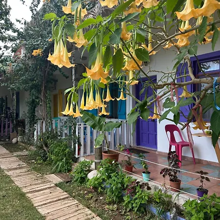 Gaya Pansıyon çirali * Kemer