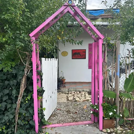 Gaya Pansıyon çirali *